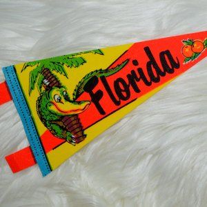Lot of 12 vintage Florida flags, small pennants